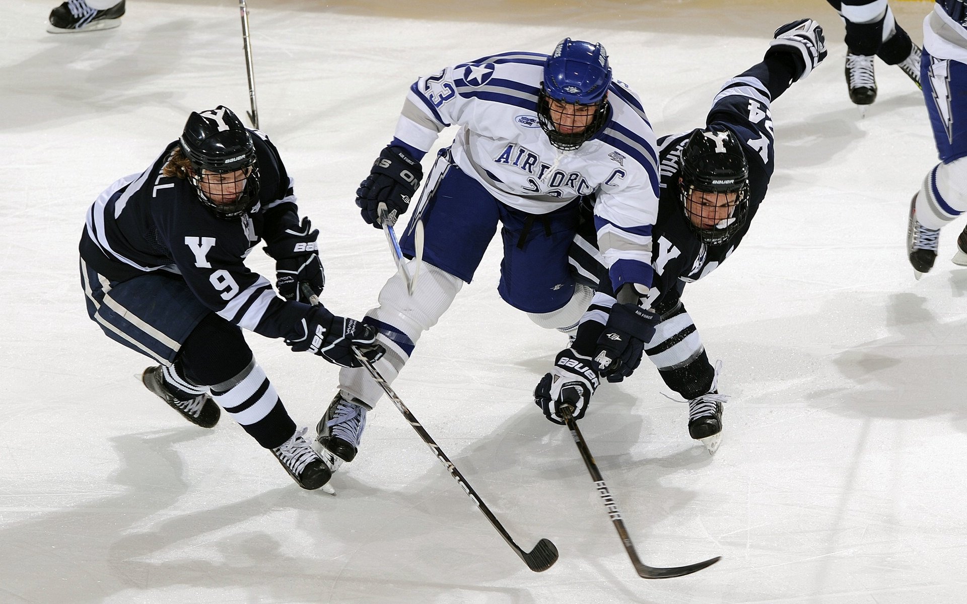 _场外精彩：明星访谈、公益活动多姿多彩_，明星访谈节目